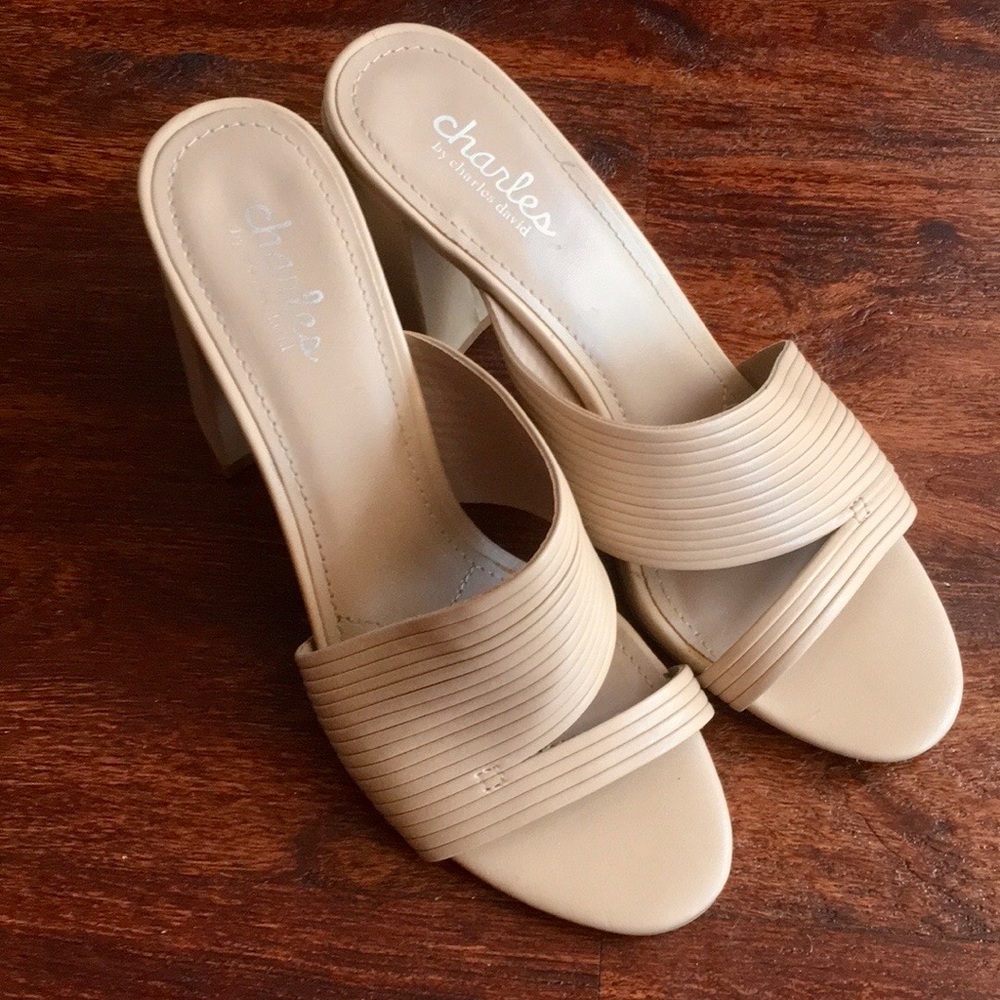 Charles David Block Heel Sandal 9M